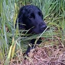 Peter Burgess - @PeterBurgess13 - Twitter