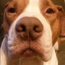 Jay mackin - @jaymackin71 - Twitter