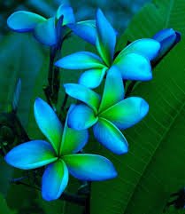 Full of confidence and energy with positive attitude