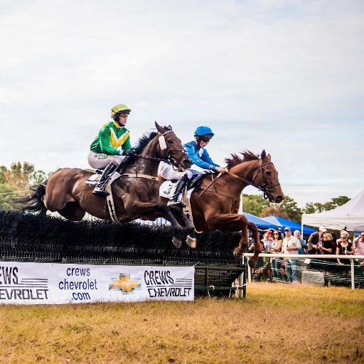 Charleston_Cup's profile picture. The Lowcountry's premier fall social event. Horse racing at it's finest. Tailgating. Vendor Village. Kids Area. Hat contest.