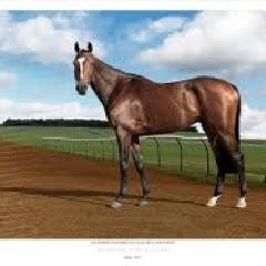luv to be back in the horses!!! One day