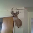 joshua beechler - @joshbeechler191 - Twitter