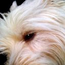 Scott Veale - @scottveale - Twitter