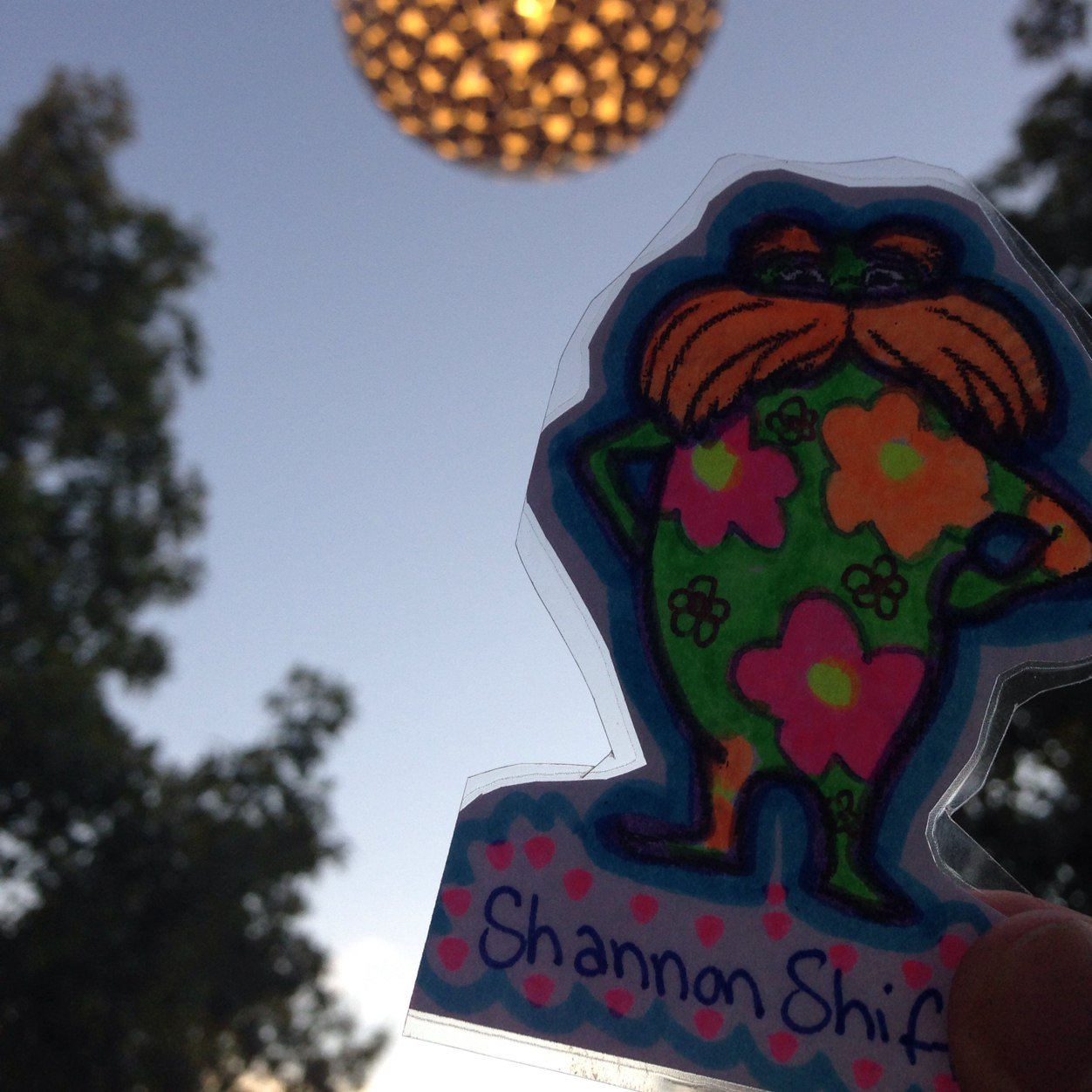 shannonsslorax's profile picture. Shannon Shiffer 
APES Fergason
8th Period