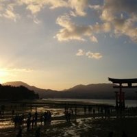 しんや (@shin_polyglot) 's Twitter Profile