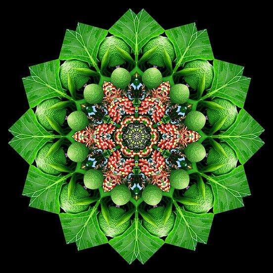 NaturalBuddhas's profile picture. A new technology made from conscious resonances that remove limitations and amplify your inner creative consciousness.