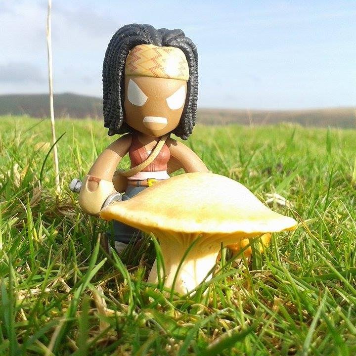 Follow the adventures of Mini Michonne right here. Minature portions of badass wherever she goes.