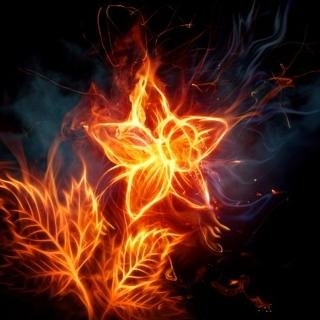 electronica2018's profile picture. 