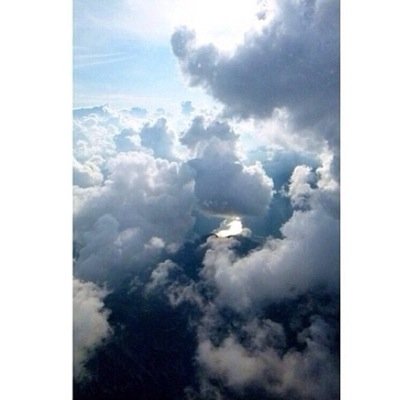 vibb _________503