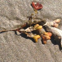 J Hatcher Roberts (@equityeffects) 's Twitter Profile