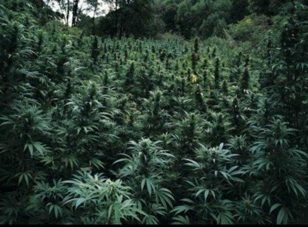 joelf_47535's profile picture. 