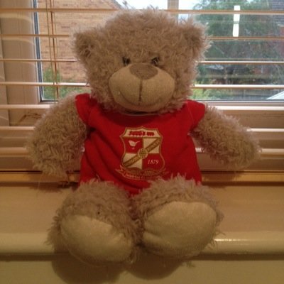 SwindonTed's profile picture. Sometimes Grizzly.