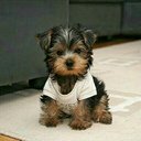 Ellie Kirk - @ellielouisekir1 - Twitter