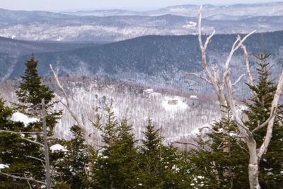 Dabrowski196's profile picture. 