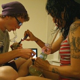 he's a business major - she's a nursing major - no excuses not to be successful - stoner couple - just smoke some is always the answer - goal 1.5K ✨
