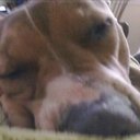 Anthony Mcleod - @806e7acfb6ae432 - Twitter