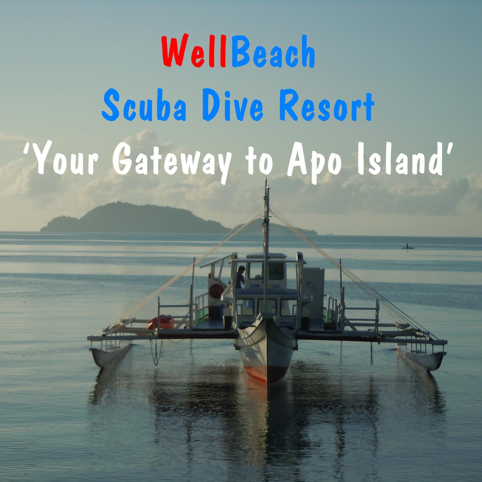 Wellbeach Dive Resort is an excellent base for a scuba diving holiday. The dumaguete beach resort conveniently offers an on-site diving center. This beachfront