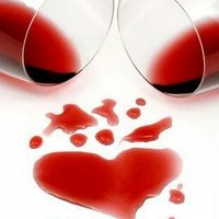 vi@vino@wine (@vi_vino_wine) 's Twitter Profile Photo
