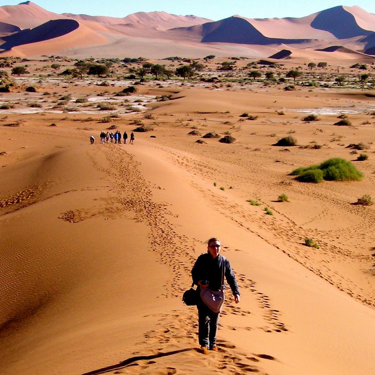 paolafaldon's profile picture. 