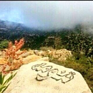 تنووومه