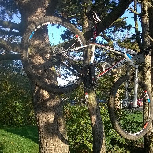 WimECooke's profile picture. 