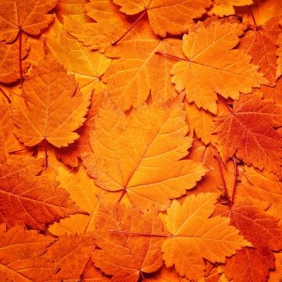 Kuster_j's profile picture. A quien le importa