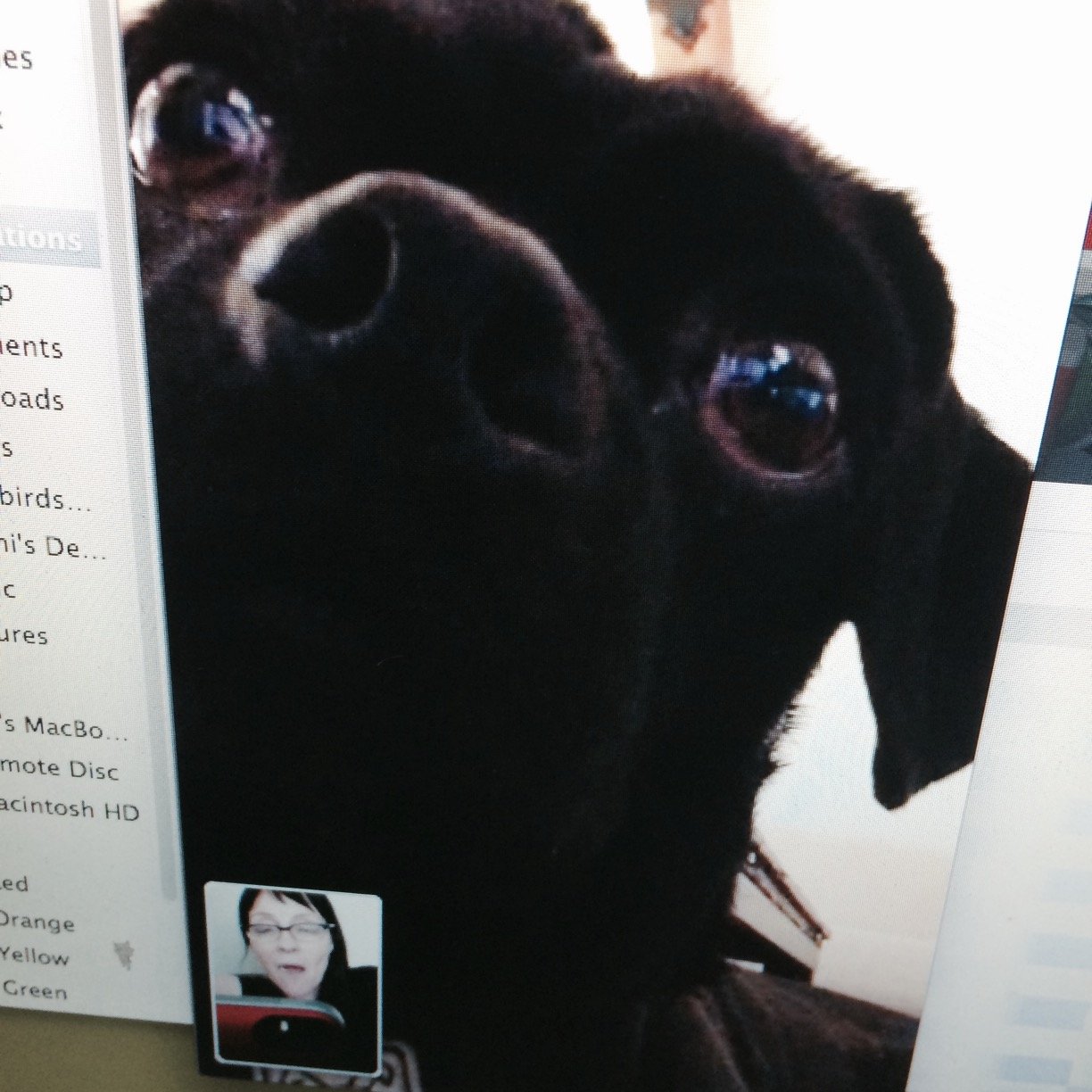 Liz Sagal (@klause2000) / Posts / X, image size:1224x1224