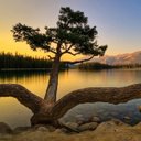 Mike Born - @mikeborn2014 - Twitter