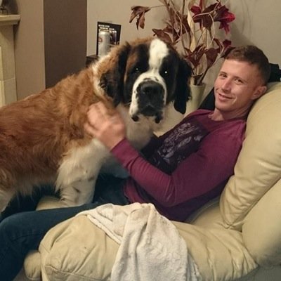 markwebster009's profile picture. 