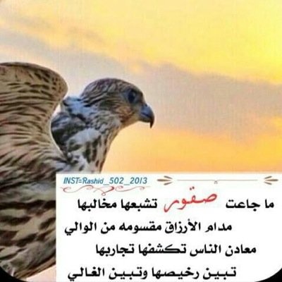 من لآيوردهآ موآريد آلآبطآل ** ** يشرب من كفوف آلليآلي غبينھٓہ