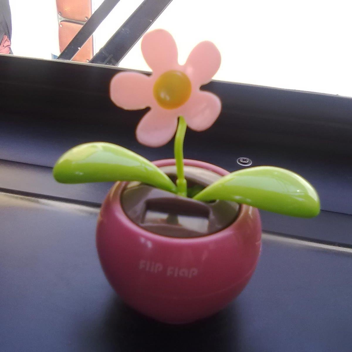 Aabidamalik's profile picture. They call me to stop each time I fall.