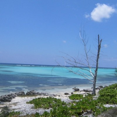 fsvt02l's profile picture. 