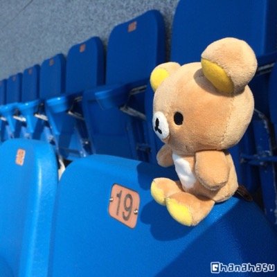 곰식이🐻