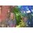 LotteSlimani's profile image