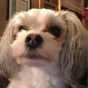 Danny coffey - @Shaba12a - Twitter