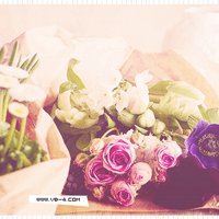 بنت الشهري (@a38288419) 's Twitter Profile