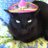 topcatte's profile image