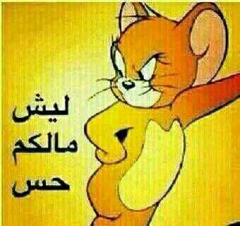 ‏مهند502