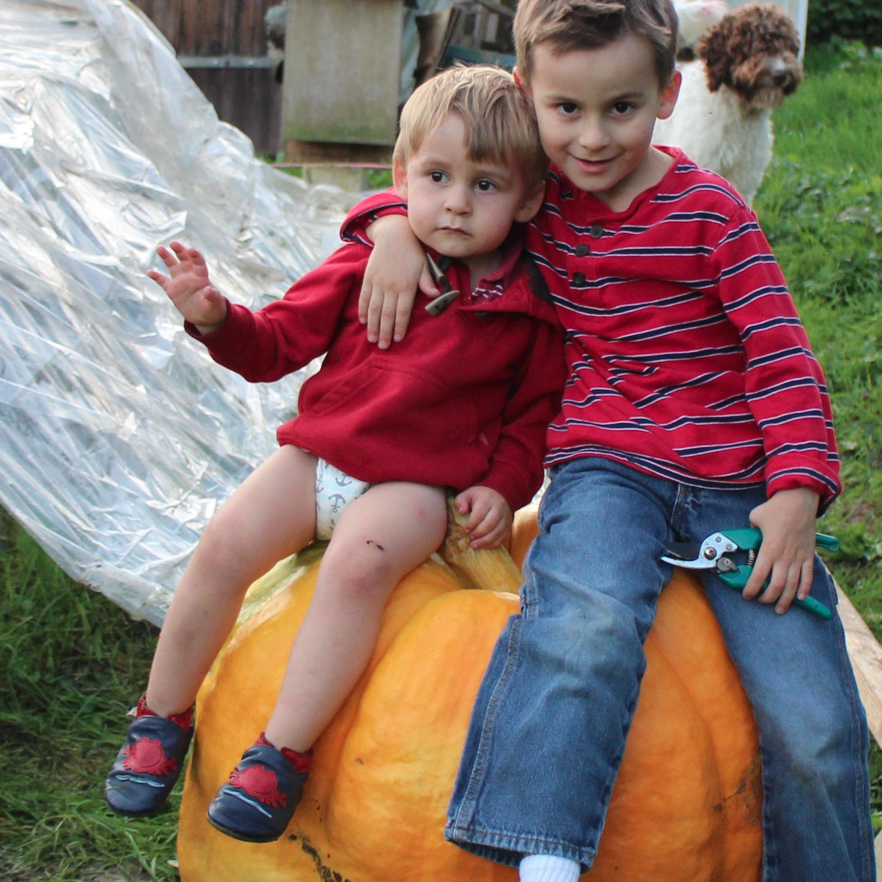 WisconsinKids's profile picture. 