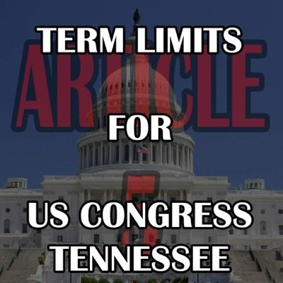 TermLimitsTN's profile picture. Imposing #TermLimits on the US Congress without their approval using Article 5 of the US Constitution. We need Americans ready to stand up and fight.