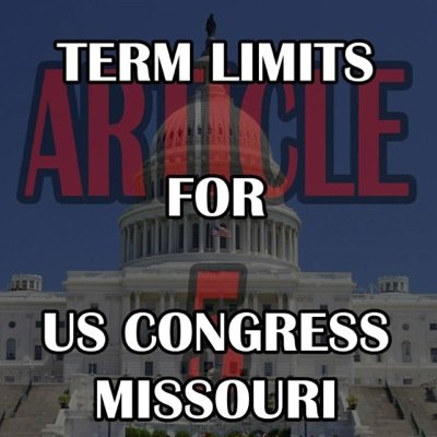 TermLimitsMO's profile picture. 