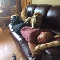 Conor Moylan (@conormoylan1) 's Twitter Profile