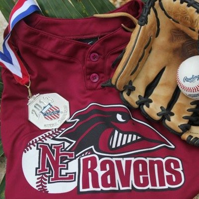 college sports recruiter/scout
