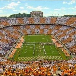 donkeys74's profile picture. 