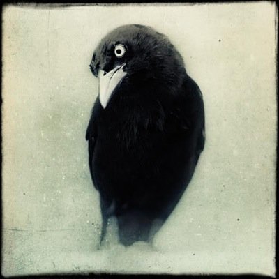 Outofbody.inthemind Profile