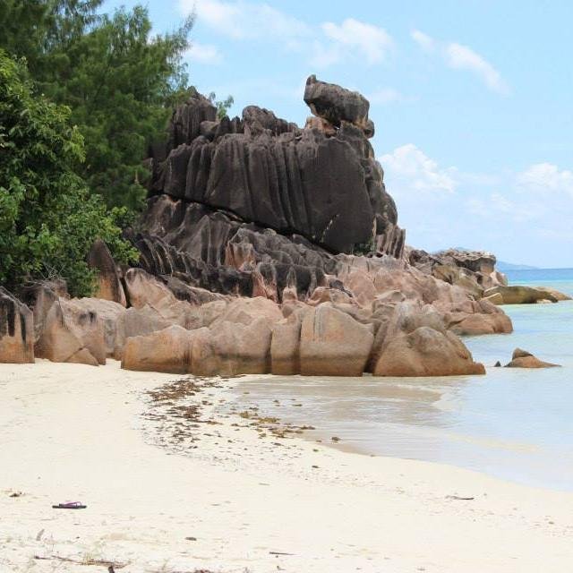 sophie78711's profile picture. 