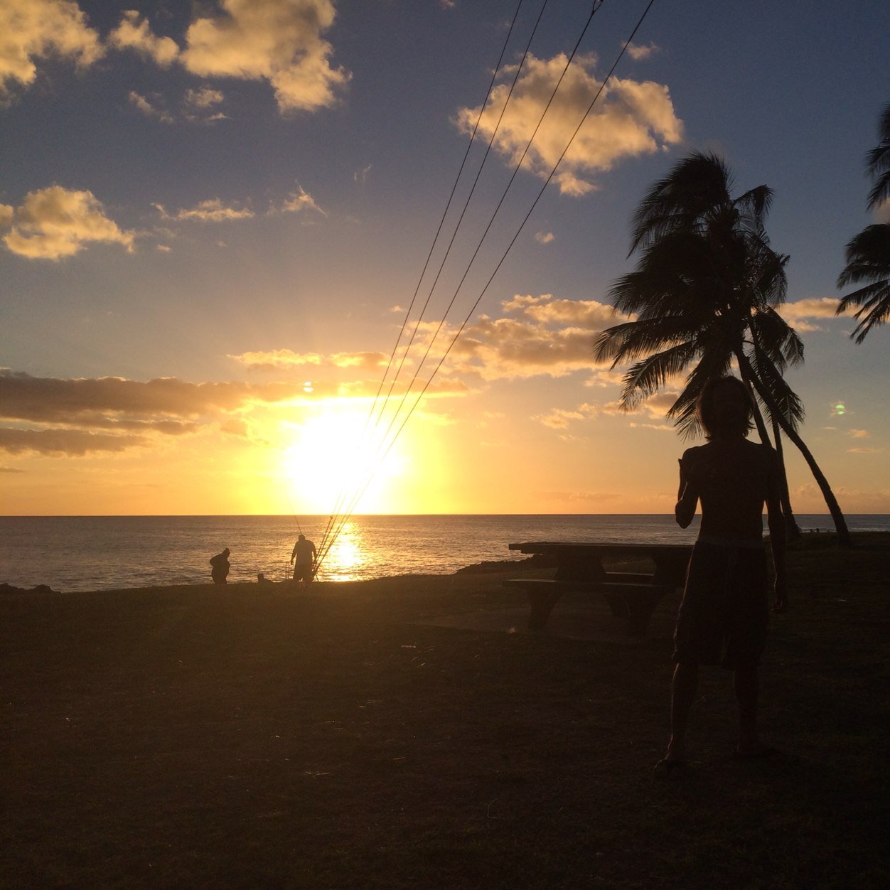 patcavii's profile picture. 