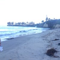 zach freitas (@zacharyfreitas) 's Twitter Profile