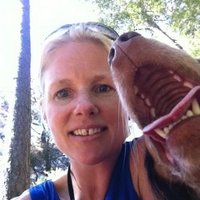 Ann Karin T. Holmen (@annkarintholmen) 's Twitter Profile