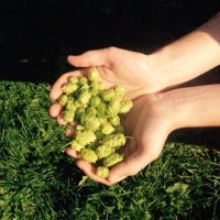 Phantom Brewery (@phantombrewery) 's Twitter Profile